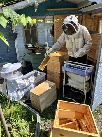 Familie an den Bienenständen