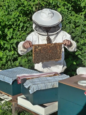Familie Pfennich bei den Bienenständen